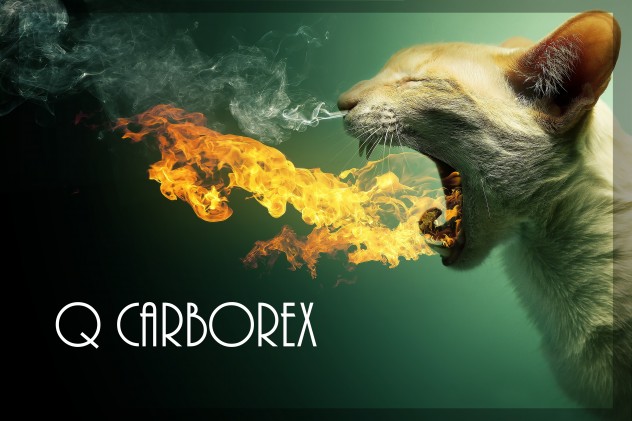 Q Carborex B