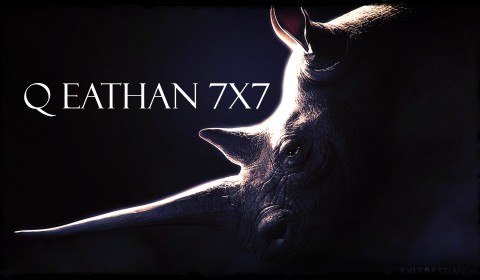 Q Eathan 7x7