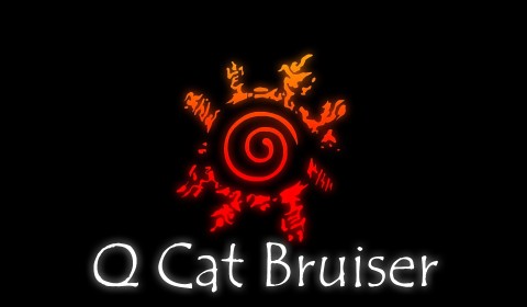 Q Cat Bruiserjpg